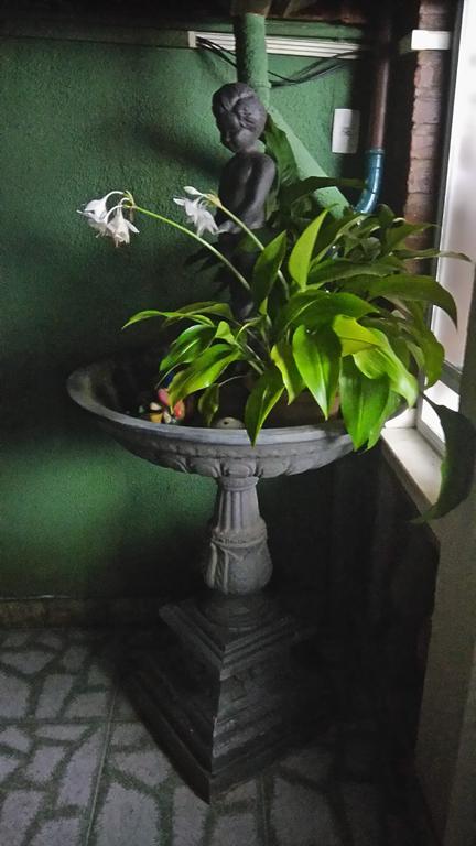 Pousada Parada Da Serra Petrópolis エクステリア 写真